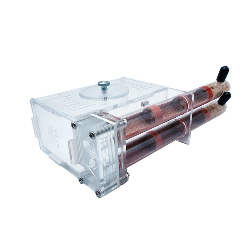 Begonia Rex - DIY Ameisenfarm, 2 Stück, 18–180 mm,