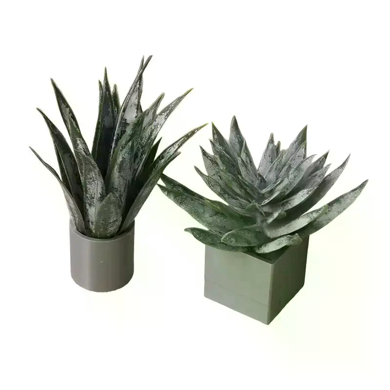 Miniatur-Aloe-Vera-Topfpflanze – Aloe Vera Pot Bewertung und Preis