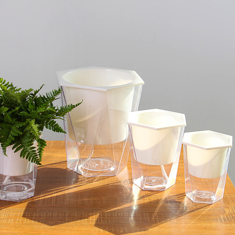 Blume Pflanze Topf Selbst Bewä – Aloe Vera Pot Bewertung und Preis