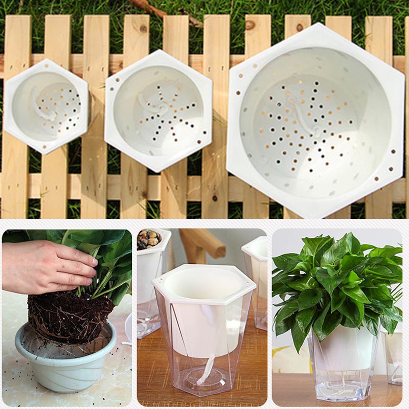 Blume Pflanze Topf Selbst Bewä – Aloe Vera Pot Bewertung und Preis