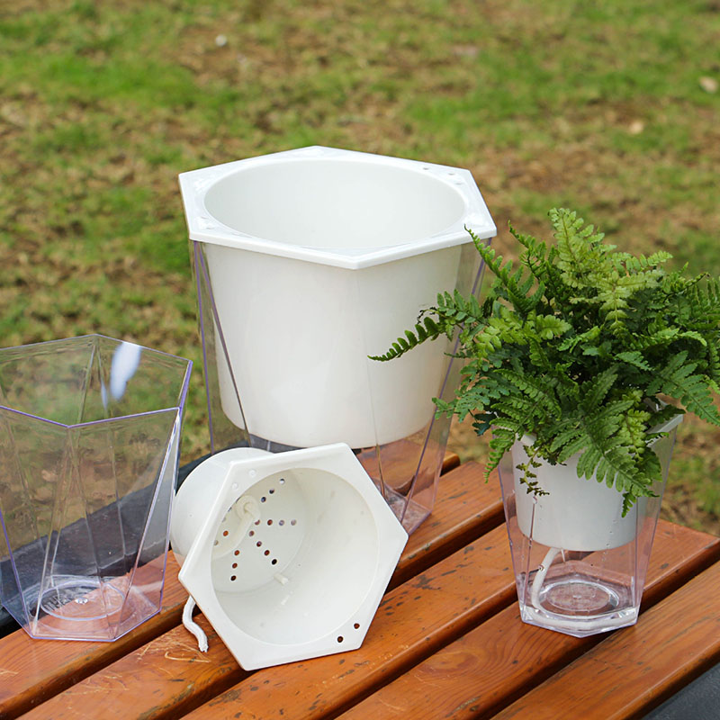 Blume Pflanze Topf Selbst Bewä – Aloe Vera Pot Bewertung und Preis