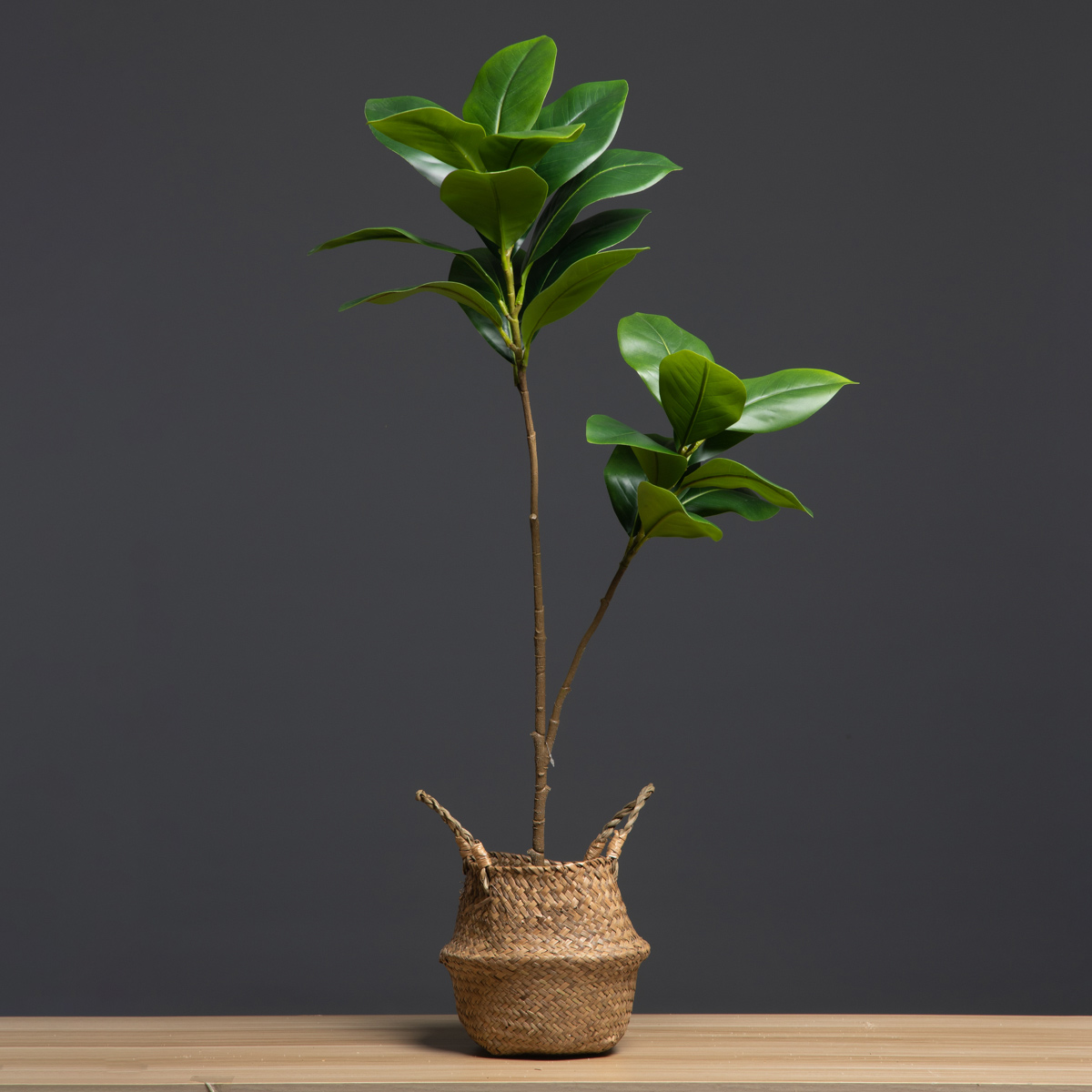 105 cm, 2 Gabeln, große künstl – Dracaena Marginata Bewertung und Preis