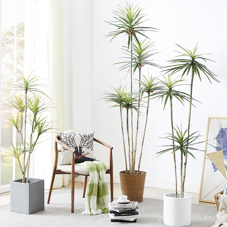 Künstlicher Kunststofftopf ​ P – Dracaena Marginata Bewertung und Preis