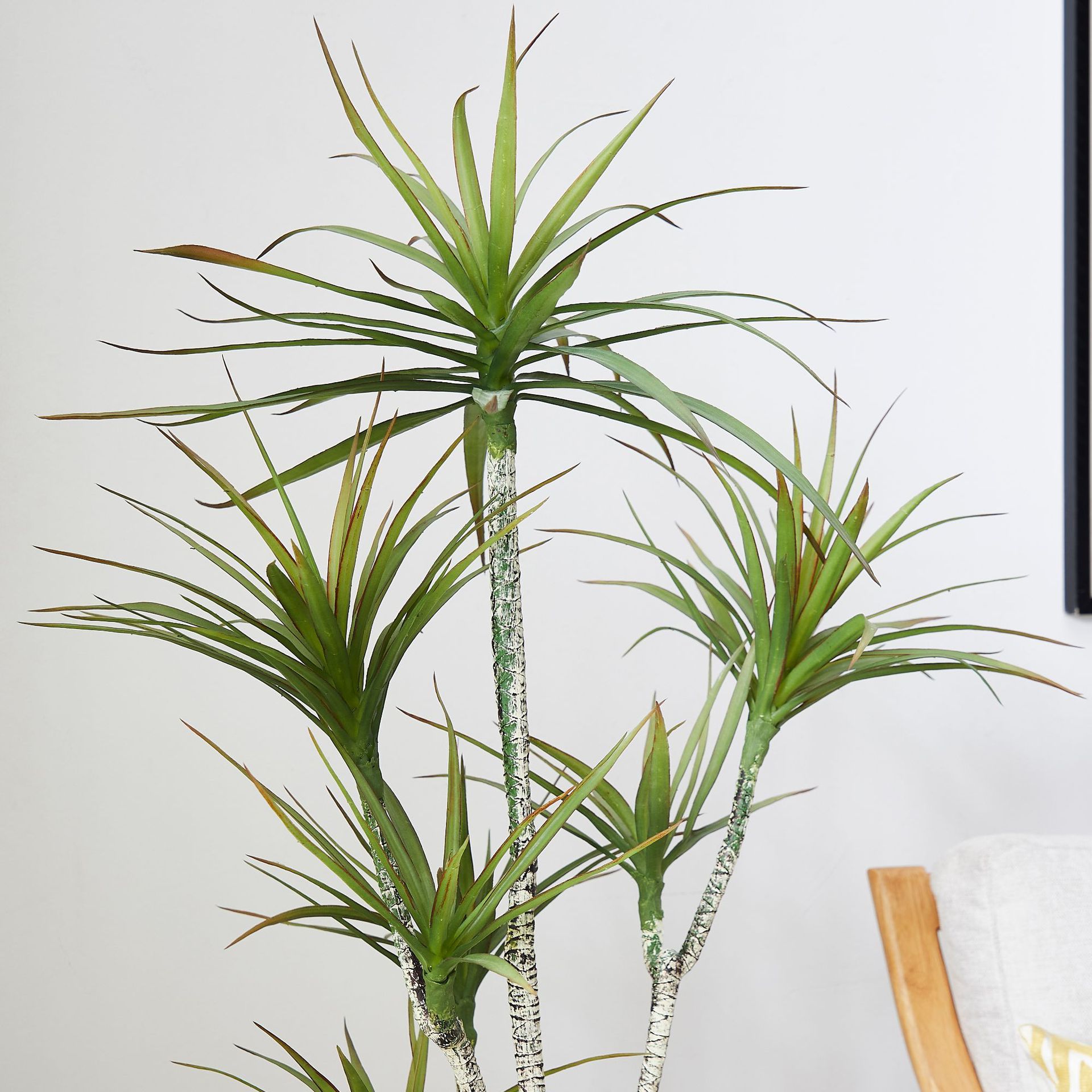 Künstlicher Kunststofftopf ​ P – Dracaena Marginata Bewertung und Preis